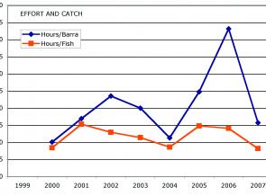 Graph 1: the fish/hour and barra/hour compiled for eight of the nine Barra Bounty's.